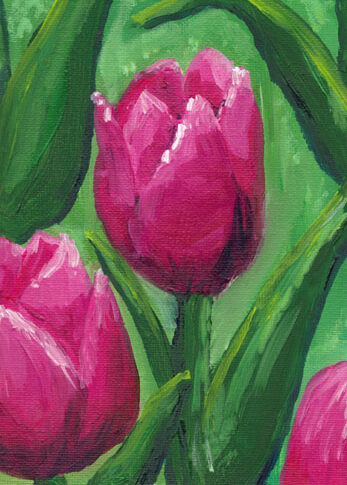 Close up of dark pink tulips against a green foliage background